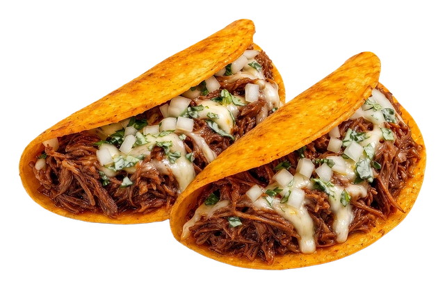 Birria